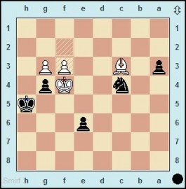 Naiditsch schlägt Weltmeister Carlsen