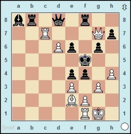 Carlsen trumpft an allen Fronten auf